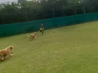 WATCH: Neymar trains with dogs...